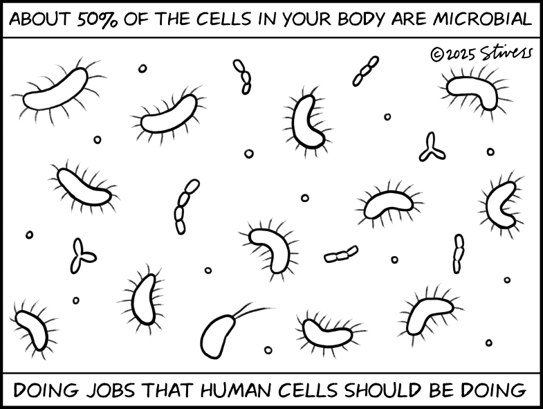 Microbial vs. human cells